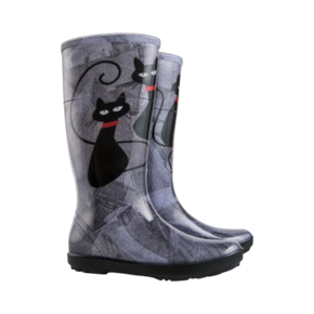 Obrázok pre kategóriu dámske gumáky